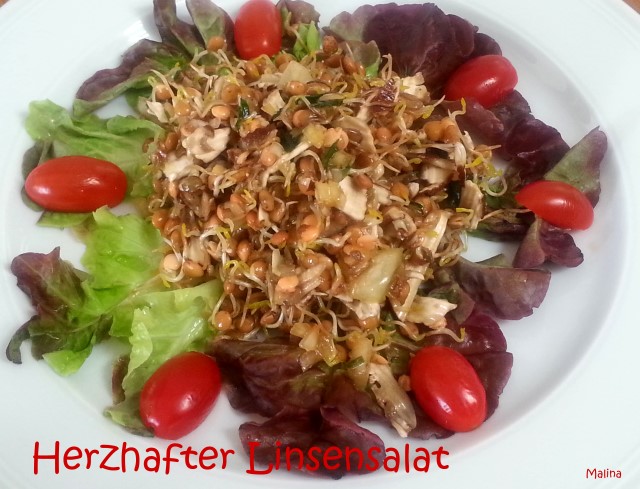 herzhafter linsensalat